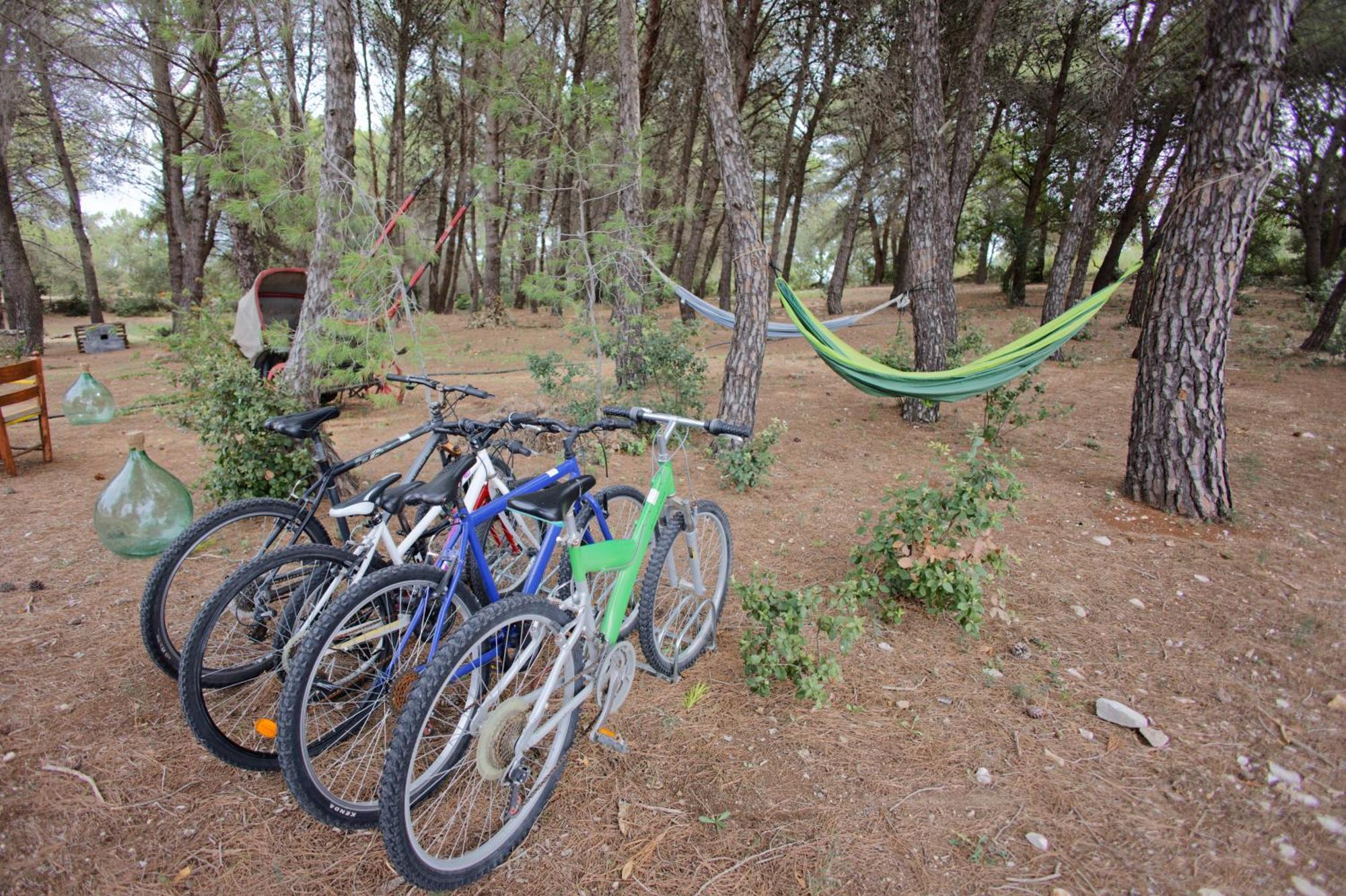 19 Secolo - Trulli Con Foresta, Bici E Barbecue Cisternino Bagian luar foto